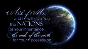 psa-2-8-web-watermarked